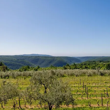 Apartmán Jadranka With Private Pool & Valley View In Istria *