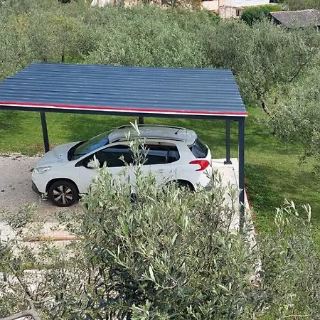 Jadranka, Sutivanac - Risi *